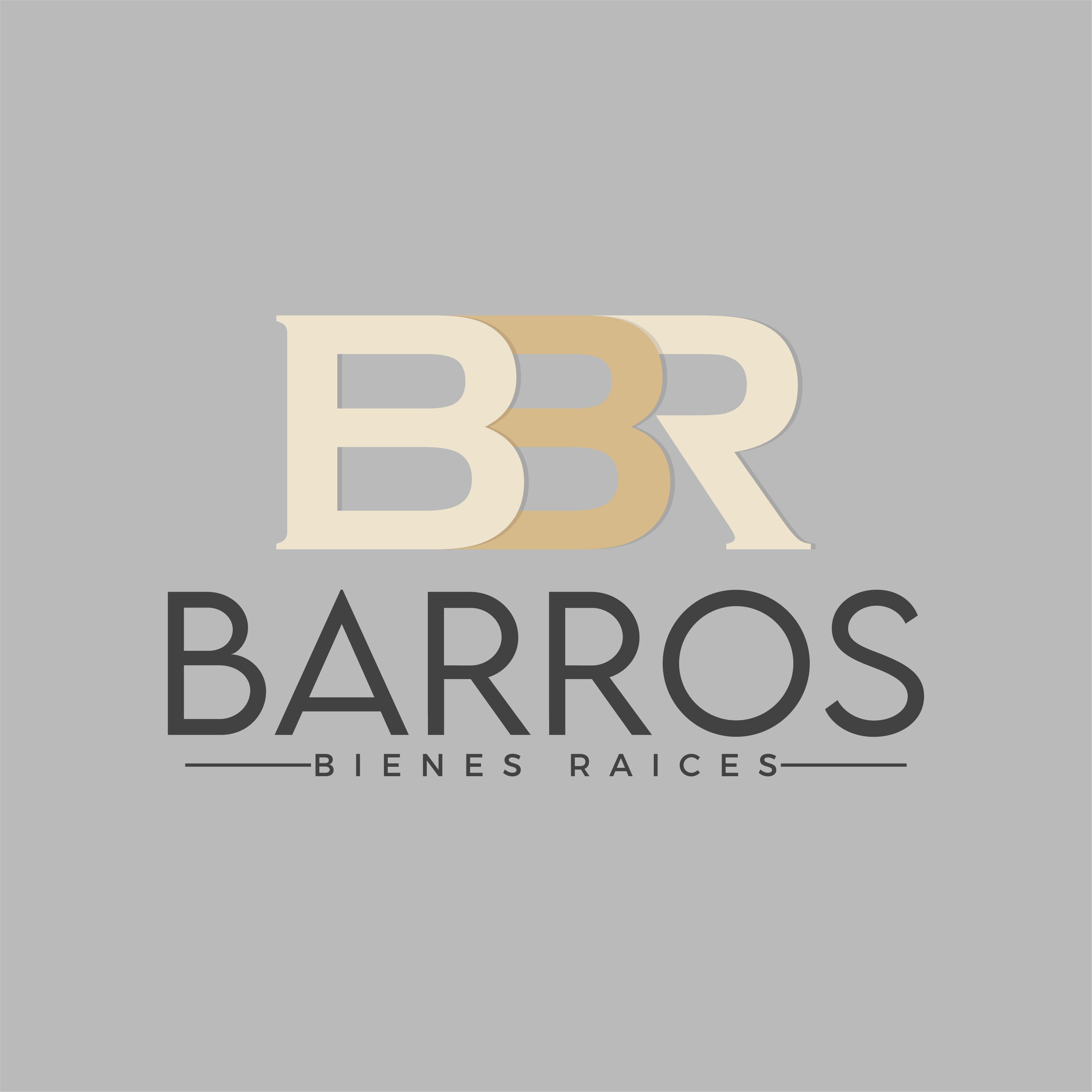 Barros bienes raices