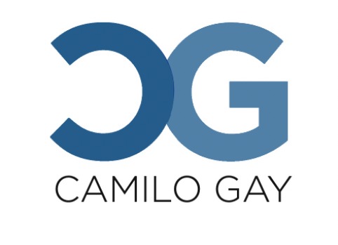 Camilo Gay Negocios Inmobiliarios