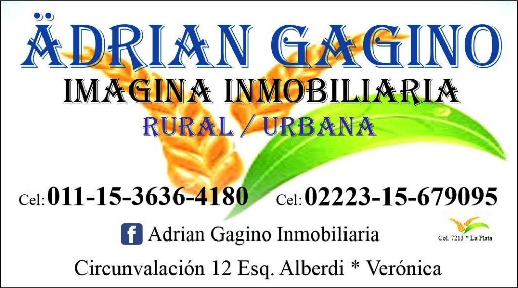 Adrián Gagino Imagina Inmobiliaria