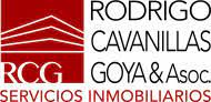 Rodrigo Cavanillas Goya