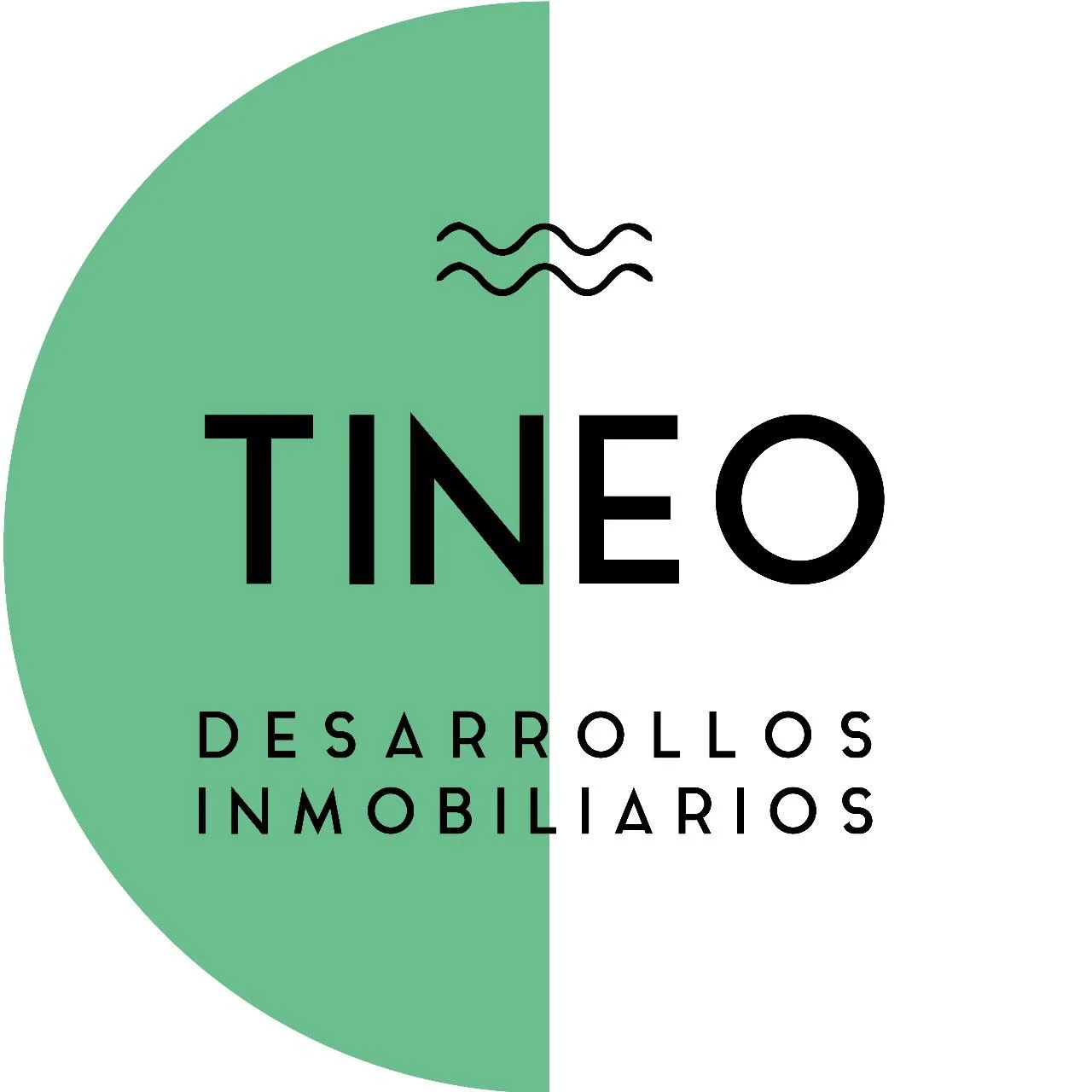 Tineo Inmobiliaria