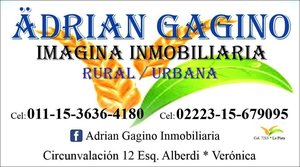 Adrián Gagino Imagina Inmobiliaria