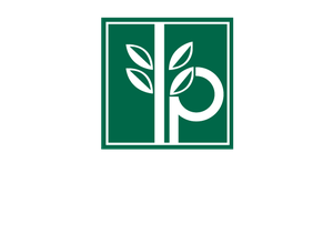JORGE DORADO Y CIA