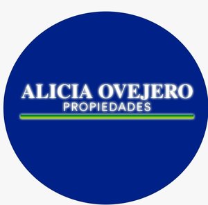 ALICIA OVEJERO INMOBILIARIA