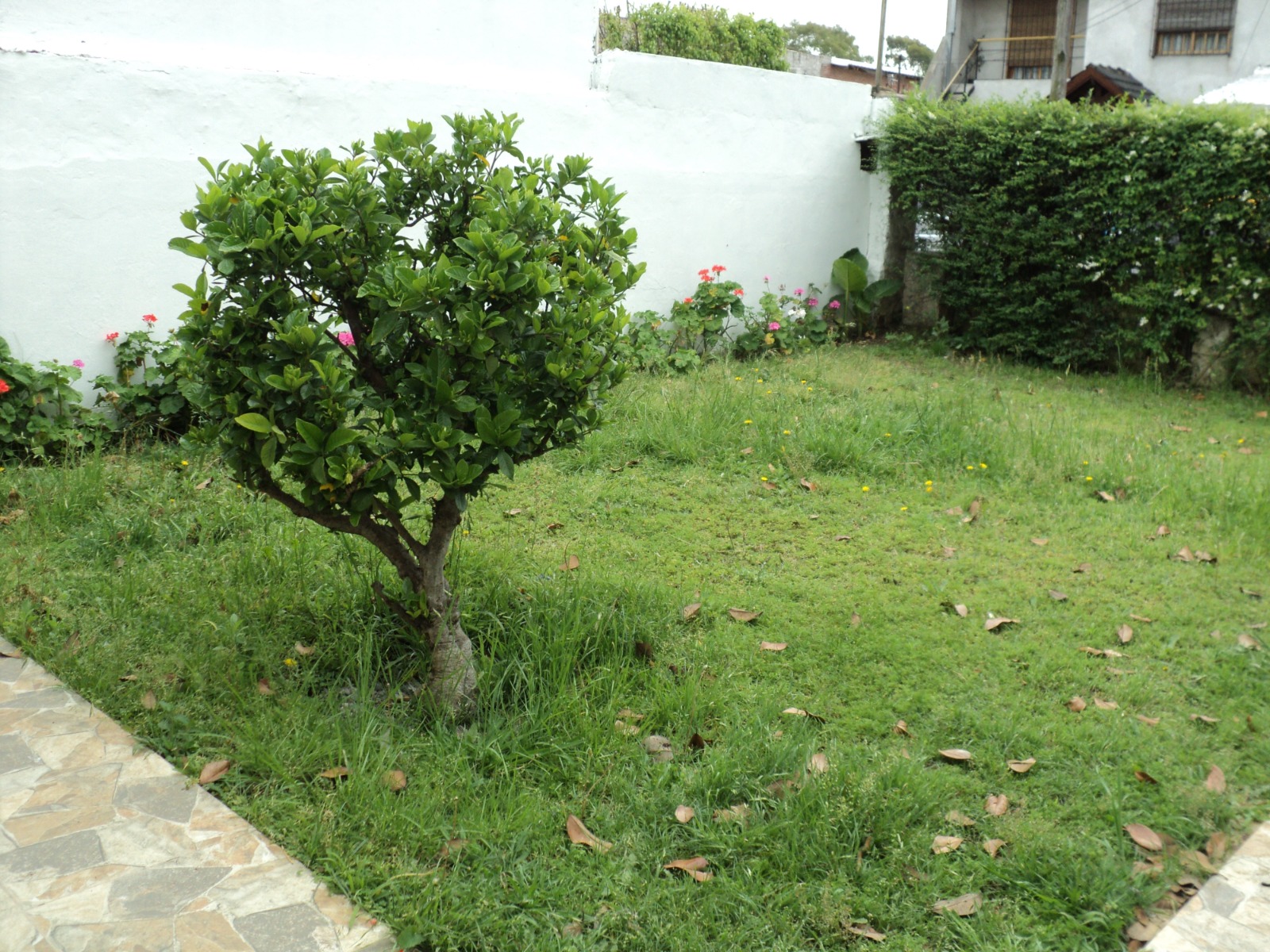 #3119254 | Venta | Casa | Aldo Bonzi (Caetano Propiedades)