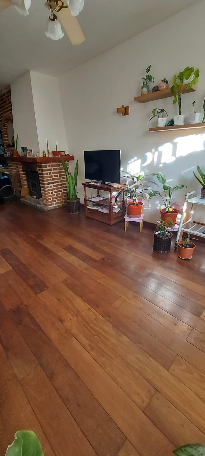 #3404548 | Sale | House | Ramos Mejia (Calderon)