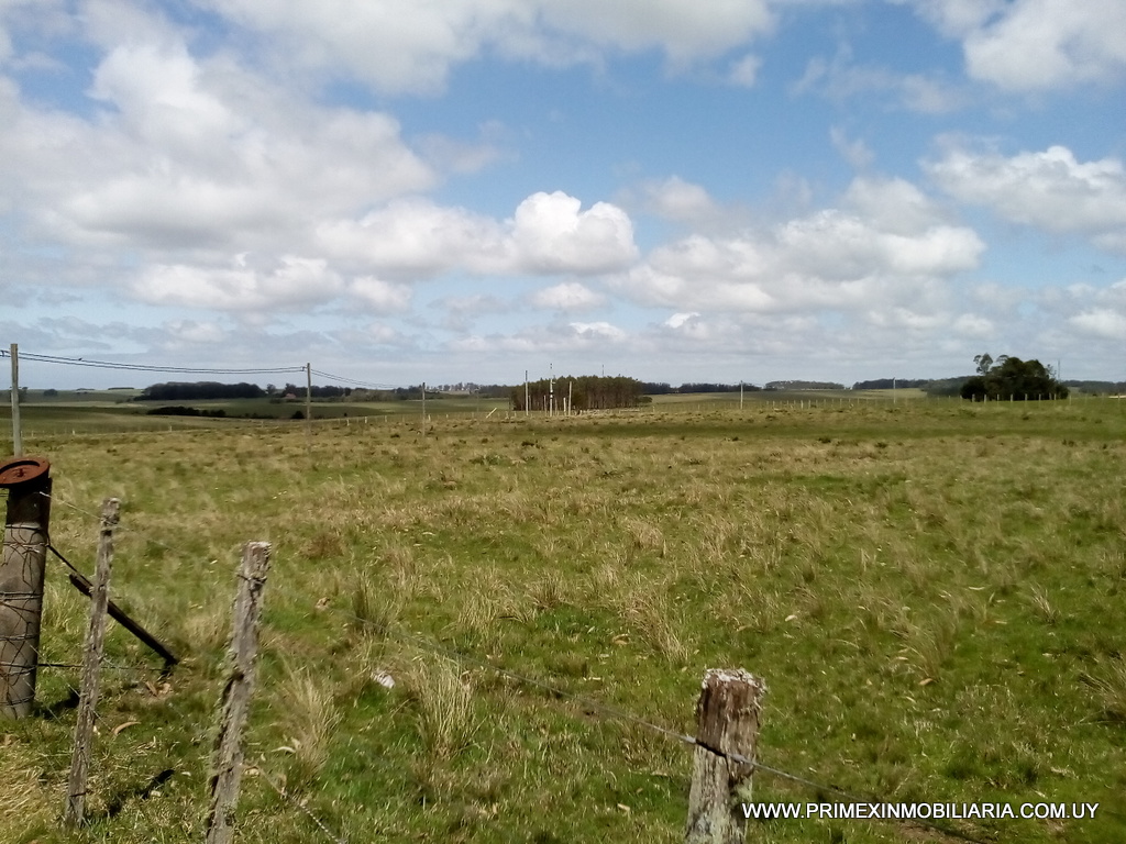 #2726815 | Venta | Campo / Chacra | Garzón (Primex Servicios Inmobiliarios - Punta del Este)