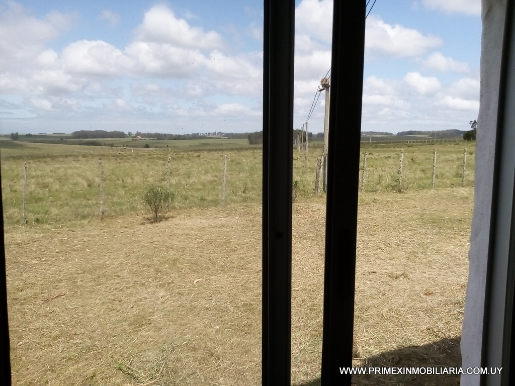 #2726815 | Venta | Campo / Chacra | Garzón (Primex Servicios Inmobiliarios - Punta del Este)
