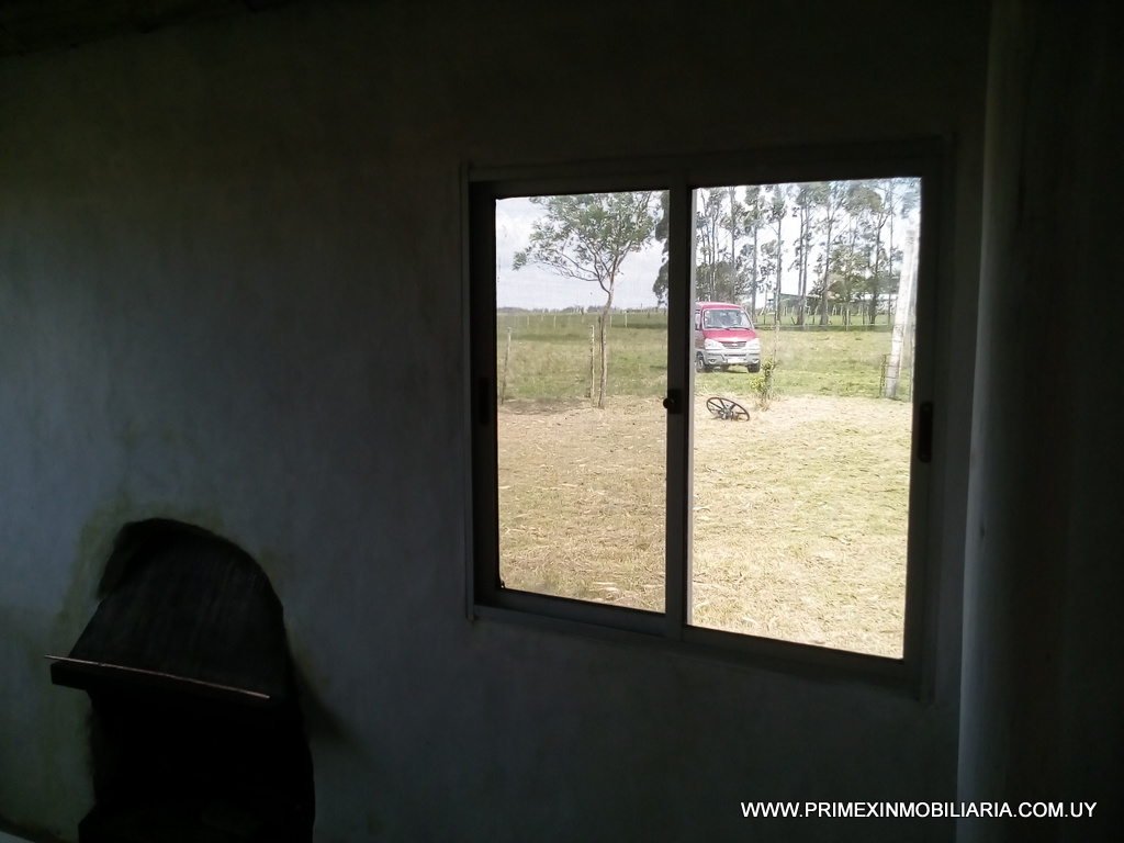 #2726815 | Venta | Campo / Chacra | Garzón (Primex Servicios Inmobiliarios - Punta del Este)