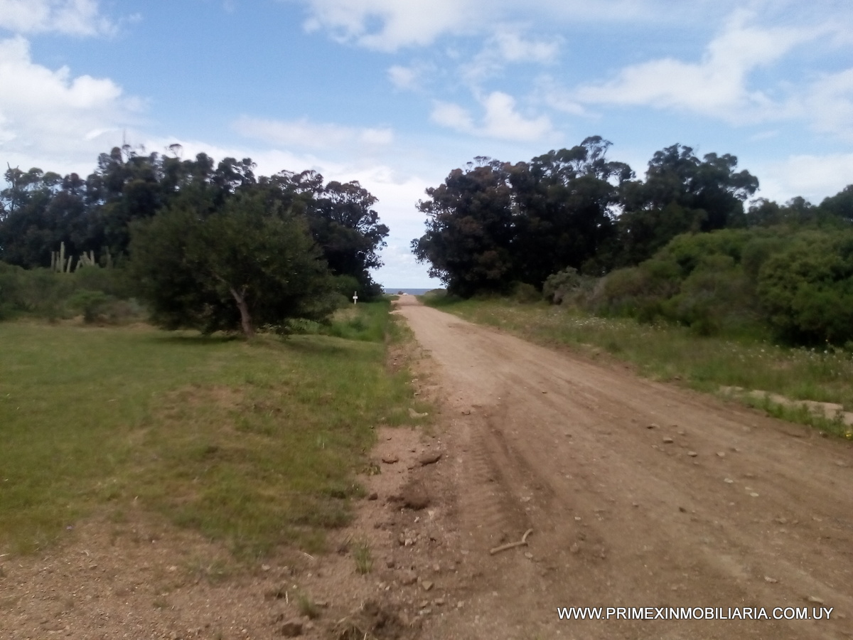 #2589352 | Venta | Casa | Sauce de Portezuelo (Primex Servicios Inmobiliarios - Punta del Este)