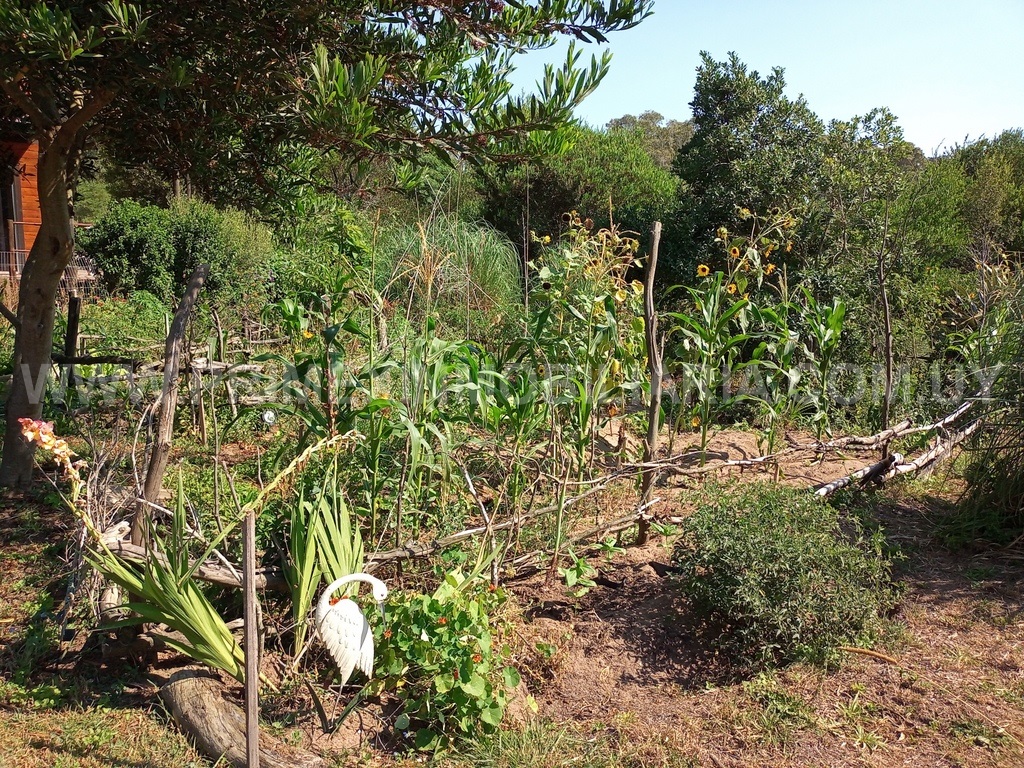 #2625404 | Venta | Casa | Ocean Park (Primex Servicios Inmobiliarios - Punta del Este)